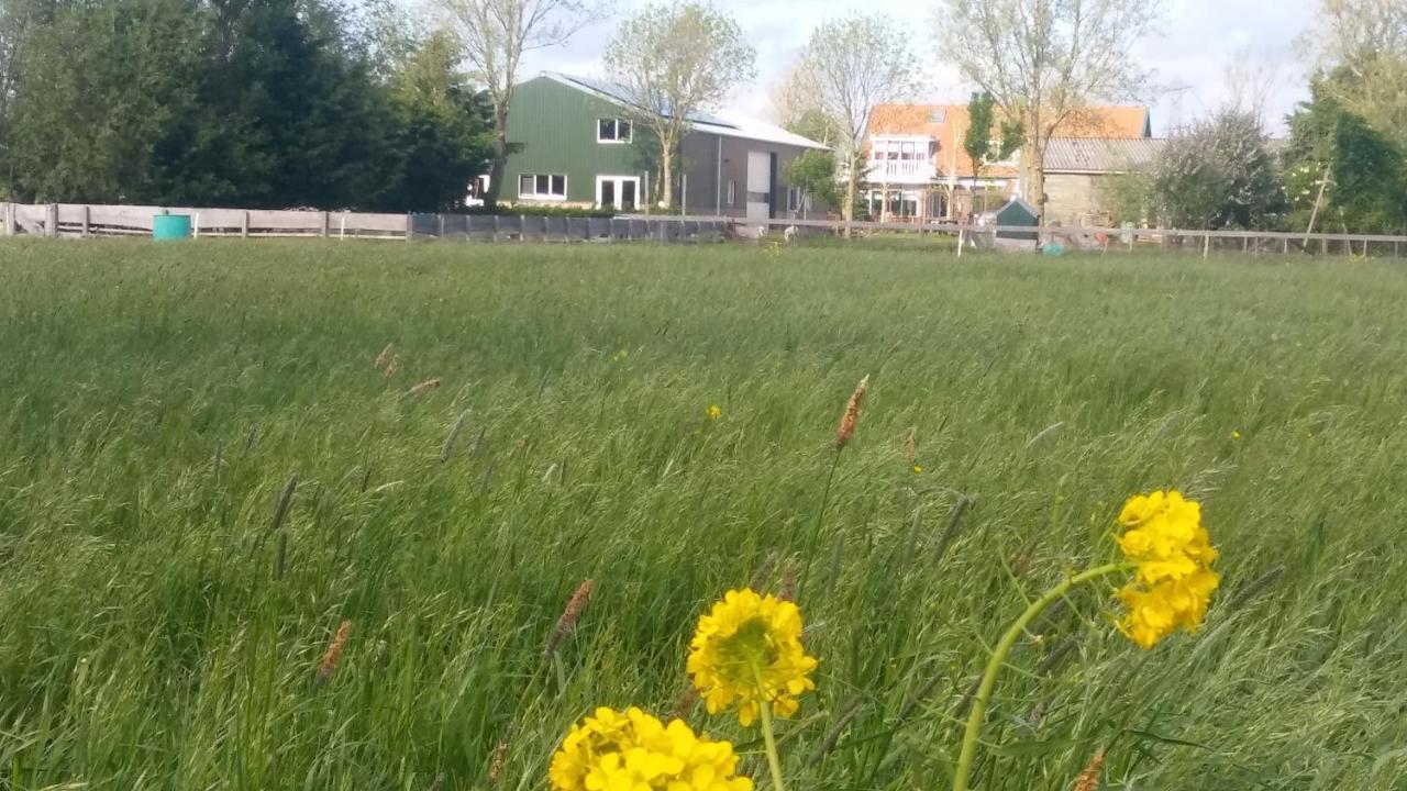 Boerenskuur De Bedstee Groen Assendelft المظهر الخارجي الصورة